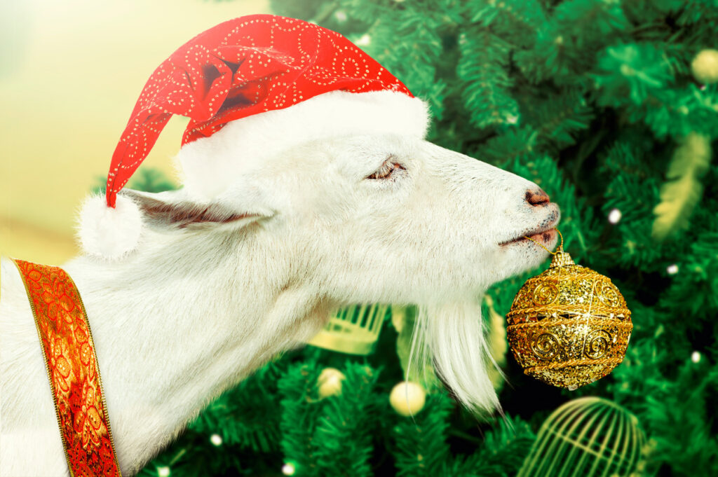 Can Goats Eat Christmas Trees? Goat Journal